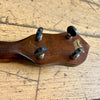 The Gibson Banjolele 1920s