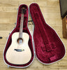 hiscox dreadnought pro hard case (pre owned)