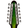 Rapier Saffire 12 String Electric Guitar ~ Greenburst