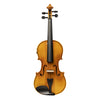 Stagg Solid Top Electro-Acoustic Violin