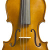 Stentor Student I 4/4 Violin Outfit